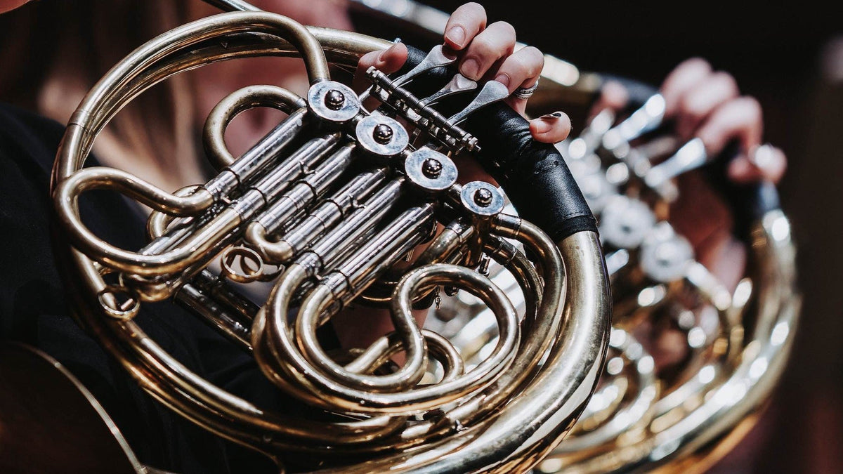 Principal French Horn
