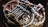 Principal French Horn
